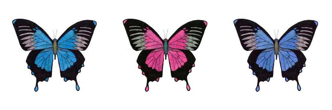 Vertical Butterflies Watercolor