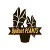 UpRoot Plants