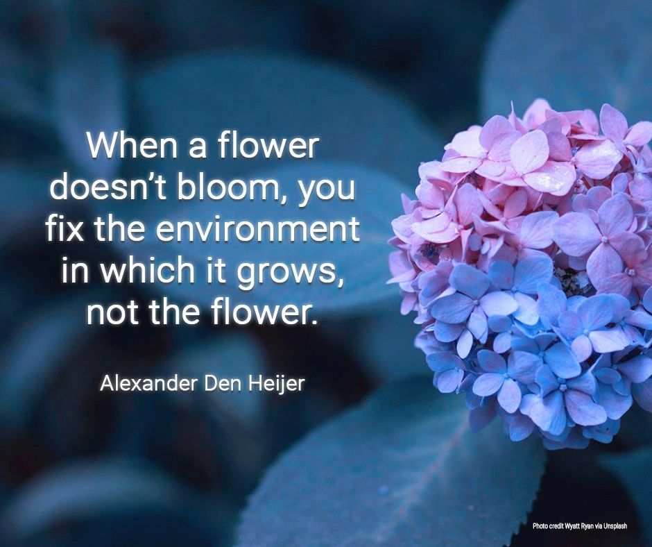 When a flower doesn't bloom, you fix the environment in which it grows, not the flower. Den Heijer