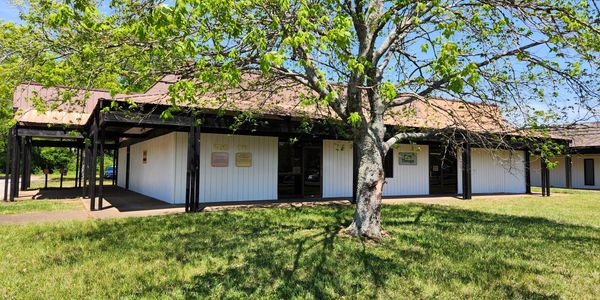 Single-story building with white walls and a tree in front under a clear blue sky.