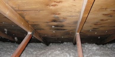 stains in attic from leak or mold build up.