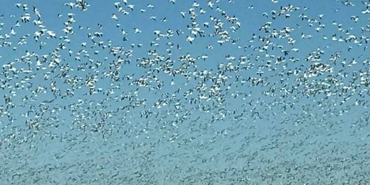 Photo from Patricia Rodriguez