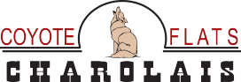 Coyote Flats Charolais Ltd.