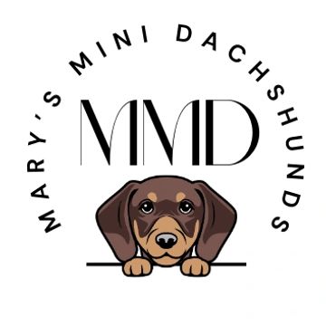 Logo featuring a cute mini dachshund and the text 'Mary's Mini Dachshunds'.