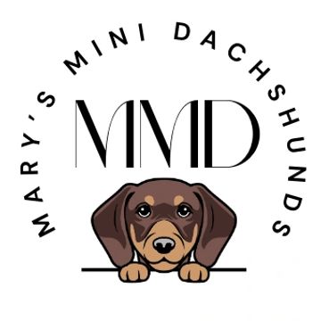 Logo featuring a cute mini dachshund and the text 'Mary's Mini Dachshunds'.
