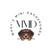 Marys Mini Dachshunds 