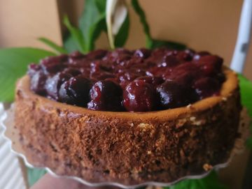 Cheesecake topped with black cherries against coral background with plant leaves