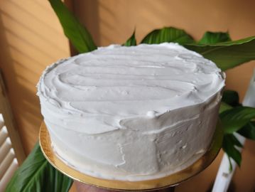 Iced Jamaican fruit rum cake against coral background with plant leaves