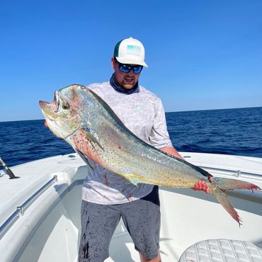 Mahi Mahi
Offshore fishing charters rhode island