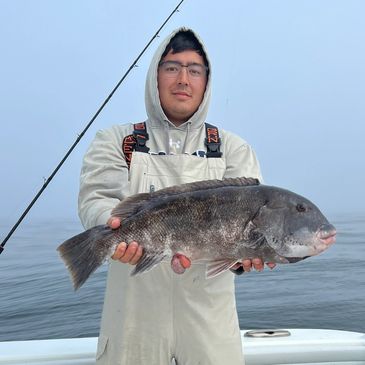 Tautog fishing Rhode Island
Inshore fishing charter RI
Black fish 
