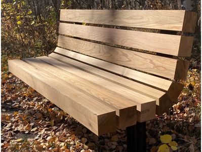 Clear cedar park bench in the autumn with leaves on the ground.