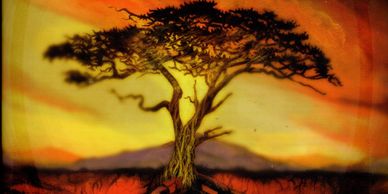 Acacia novel cover. Image of tree against yellow sky.