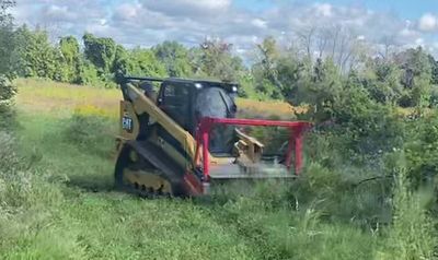 Let us clear away brush and small trees so you can enjoy the wildlife