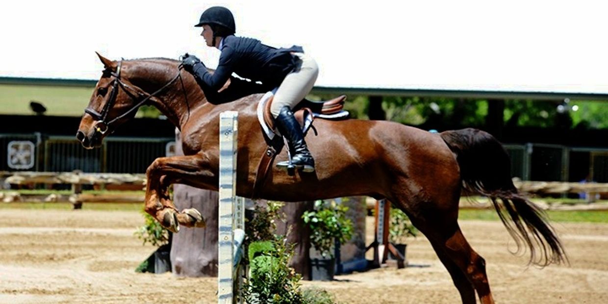 A rider and horse mid-jump during an equestrian event.
