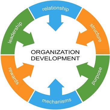 Through our management consulting our business consultants help develop your organization for growth