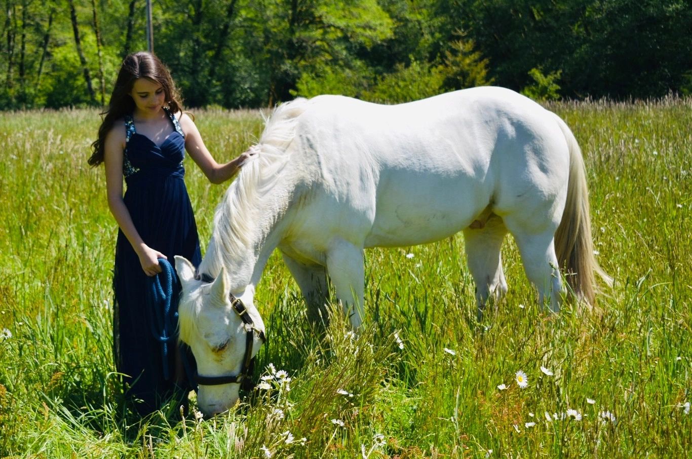 H&L Custom Creations Horse Hair Rings, Horsehair Jewelry & Horse Hair