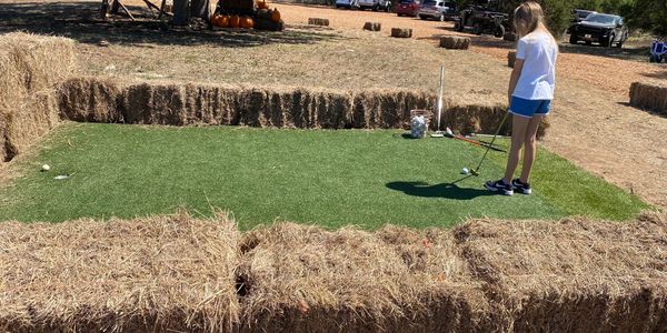 A girl practices golf putting on a small green surrounded by hay bales outdoors.