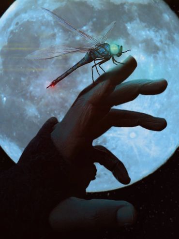 A reaching hand with a cybernetic dragonfly perched on the index finger in front of a full moon.