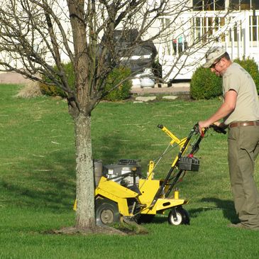 Spring Clean up in Dublin Ohio