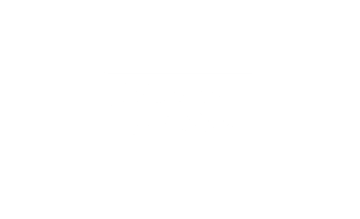 Roaming  Ventures