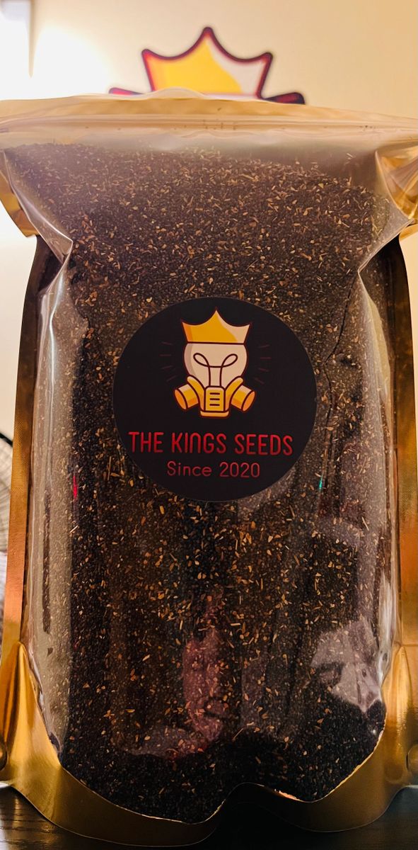 “The Queen” 12Lbs of Poppy Seeds UK Great Stock