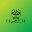 Peachtree Solutions LLC