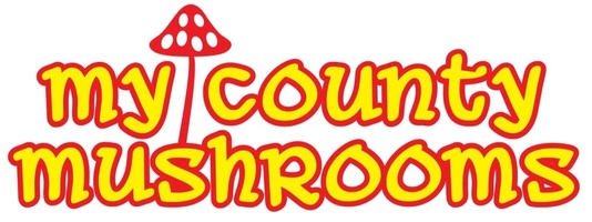 mycountymushrooms.com