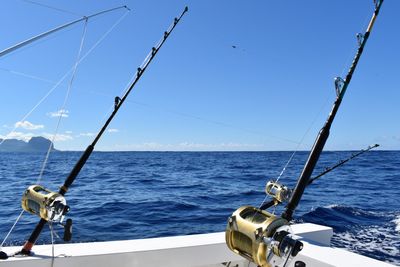 marlin fishing sticks closeup shot
