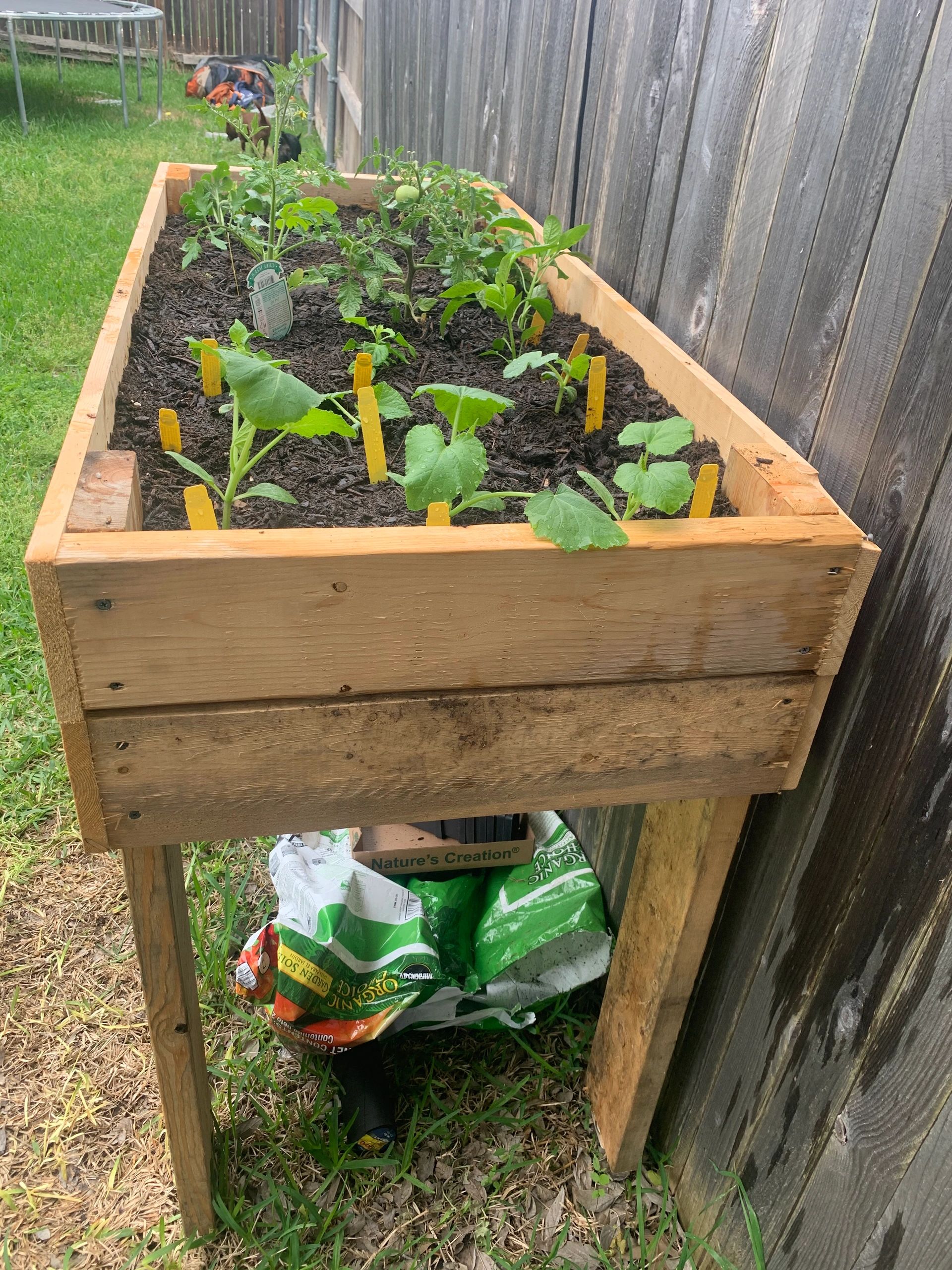 Why Canadian Millennials Are Embracing Gardening - Featured Image