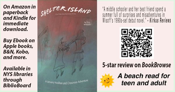 Promotional image for the book Shelter Island, a teen and adult beach read adventure.