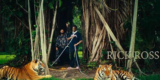 Tigers for a music video with DJ Khaled