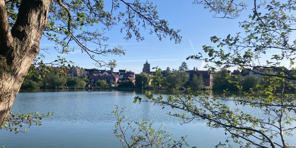 Diss Mere from Diss Park