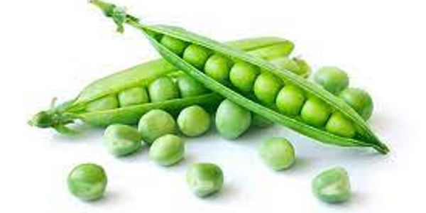 Fresh green peas in pods and loose.