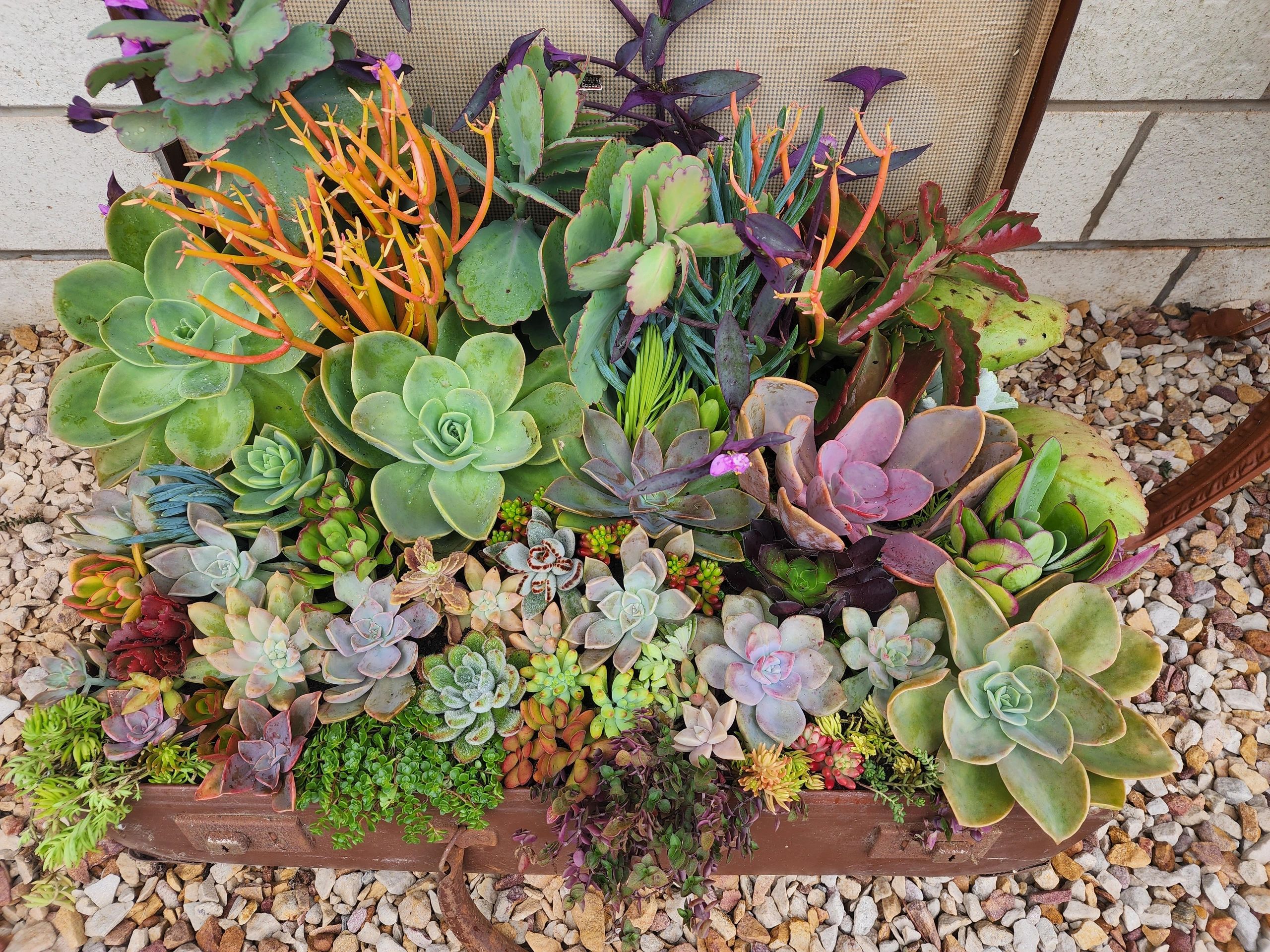 One of our favourite arrangements this month!