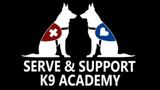 WTK K9 Training Service Dogs