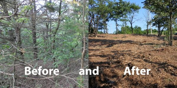 Before and after example of our work