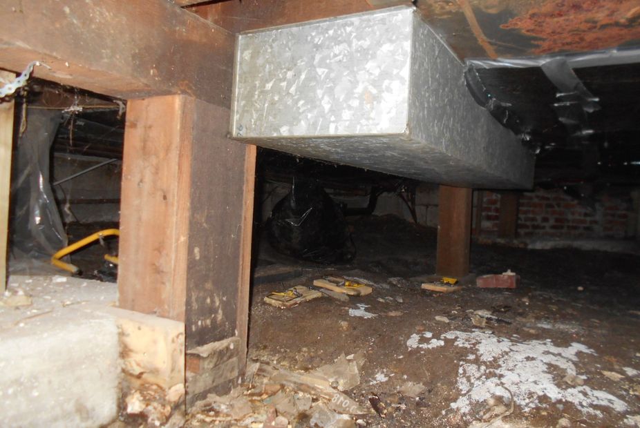 Wet Crawlspace, Moist crawlspace, Mold Growth, Damp crawlspace.