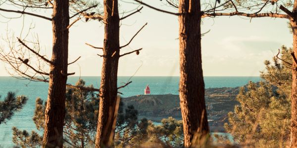 Clear path ahead symbolizing secure, governed AI adoption and Microsoft Copilot control for business