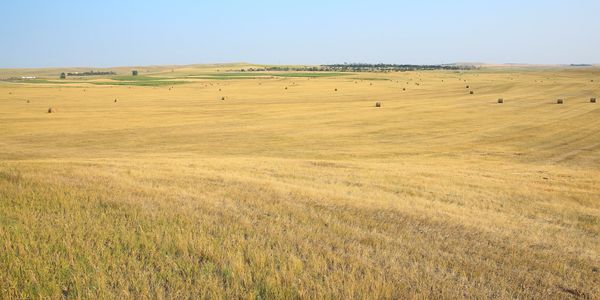 Open landscape representing scalable, full-spectrum managed IT support for growing businesses