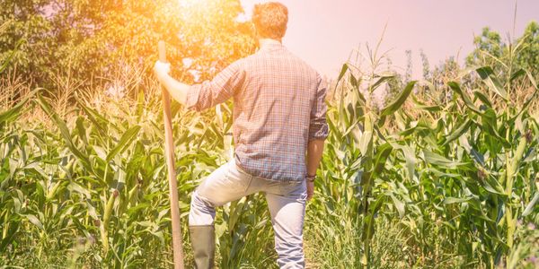 Business leader navigating growth and change, representing practical AI adoption and Microsoft Copil