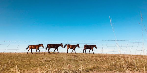 Clear forward path symbolized moving together, representing guided IT strategy secure operational