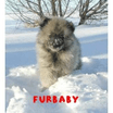 FURBABY