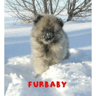 FURBABY