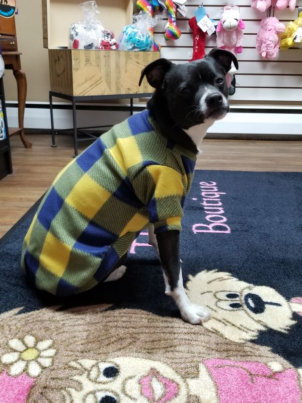 The Posh Pet Boutique Dog Clothes, Dog Boutique