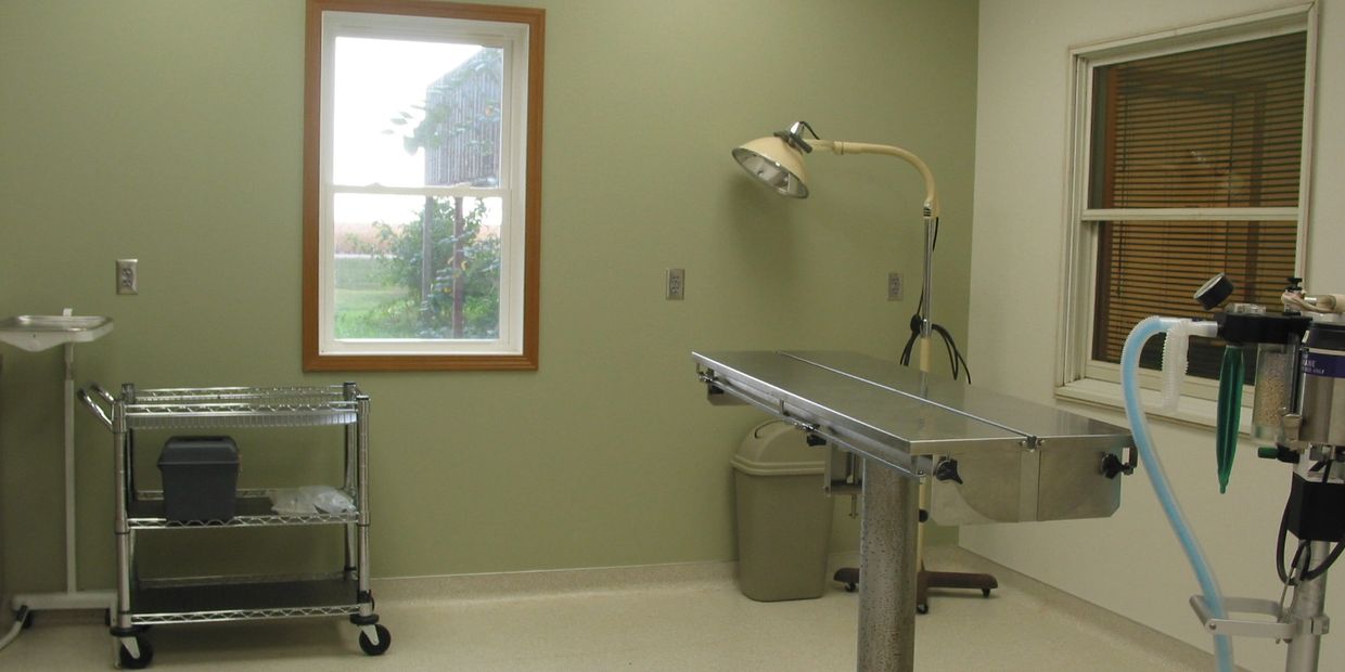 Small Animal Dakota Large Animal Clinic