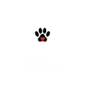 H.E.A.L.