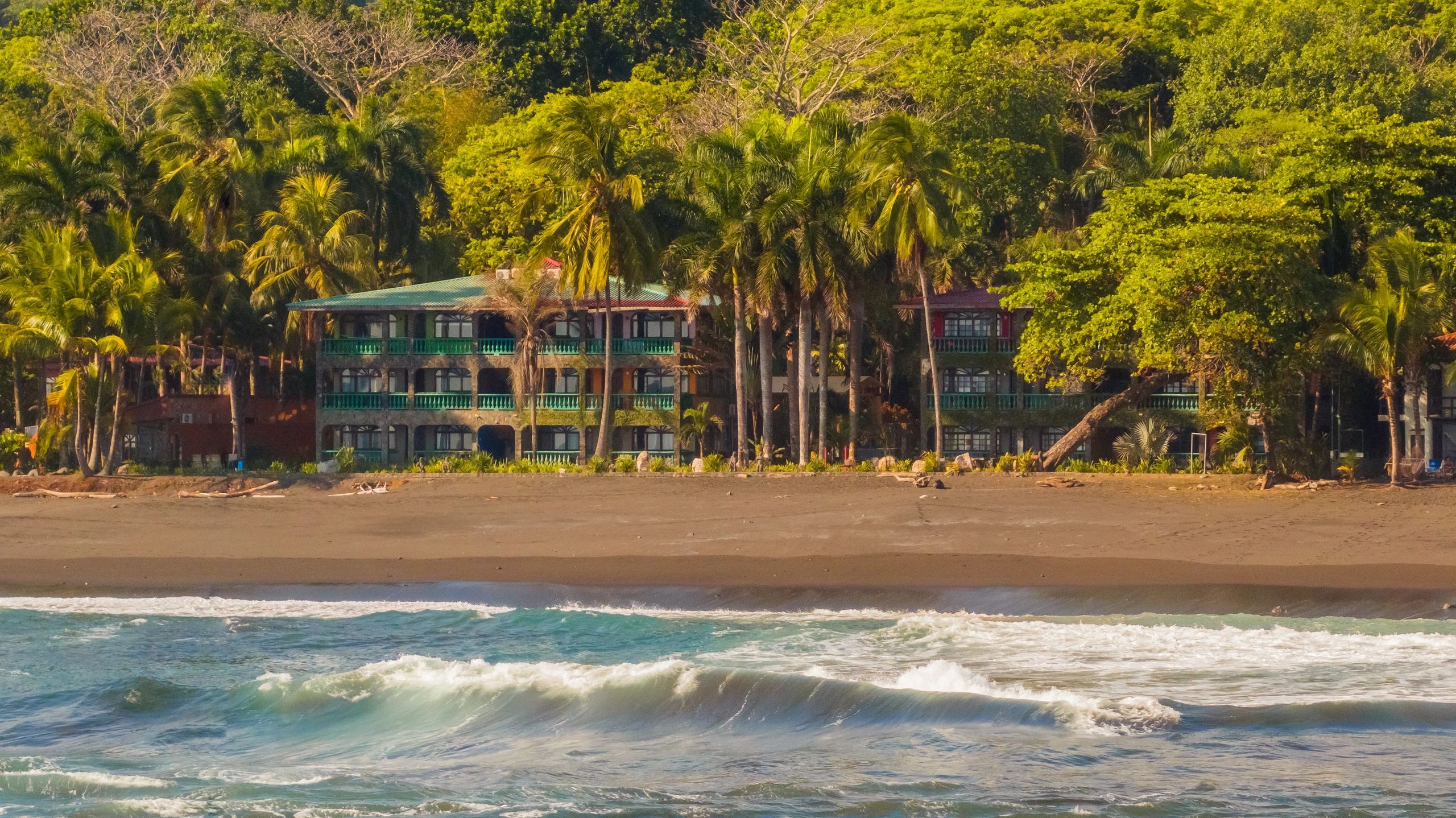 Hotel frente a la playa rodeado de palmeras y vegetación.