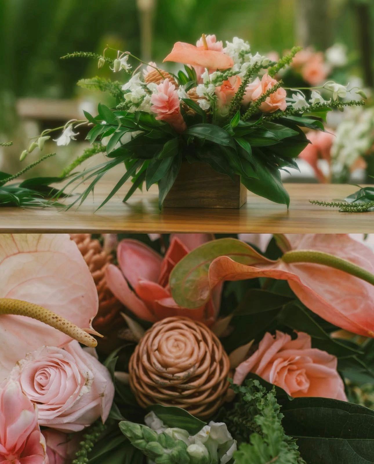 OCEANFRONT WEDDINGS IN COSTA RICA