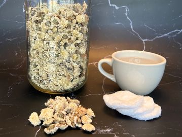 jar of raw dried chrysanthemum flowers next to a small teacup and cotton rounds