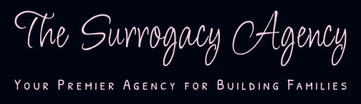 The Surrogacy Agency